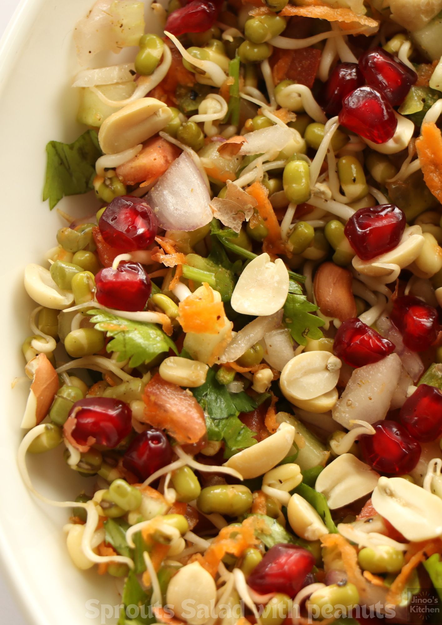 sprouts salad with peanuts